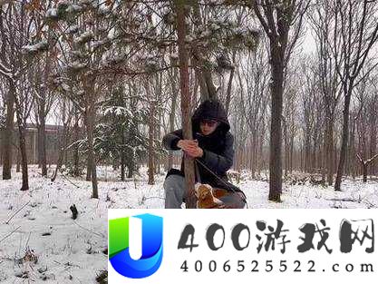 人与狗锁的奇妙互动：揭秘狗狗如何成为人类最佳伙伴的视频解析