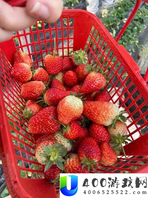 如何看待草莓视频旧址www 在线的关停？对用户和行业有哪些影响？