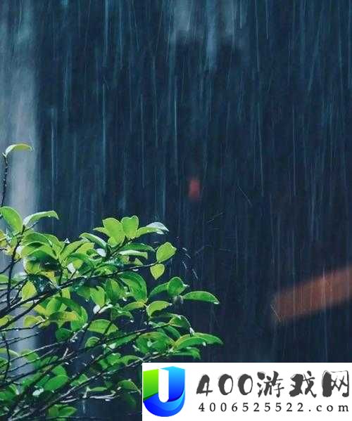 美丽的雨欣