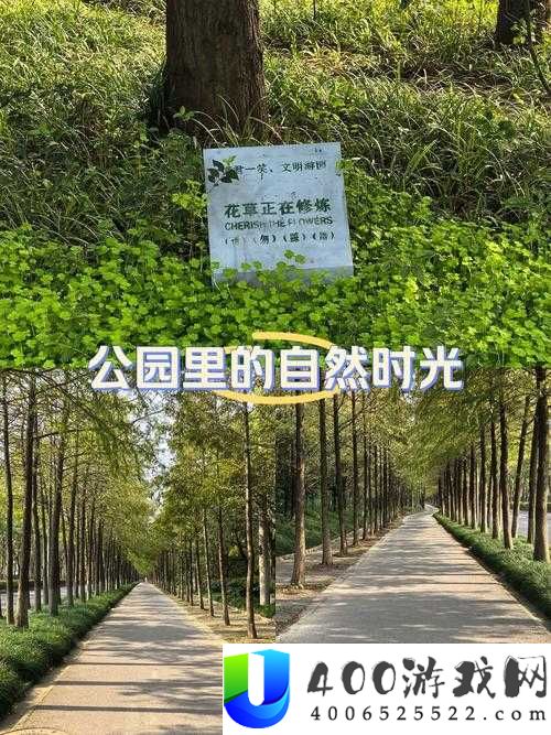 户外直播：在公园中感受大自然的魅力，你准备好了吗？