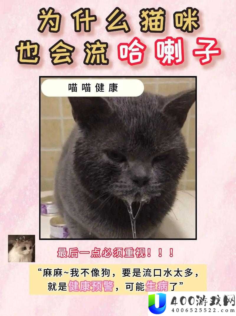为什么猫咪感冒了会流口水？这是怎么回事呢？
