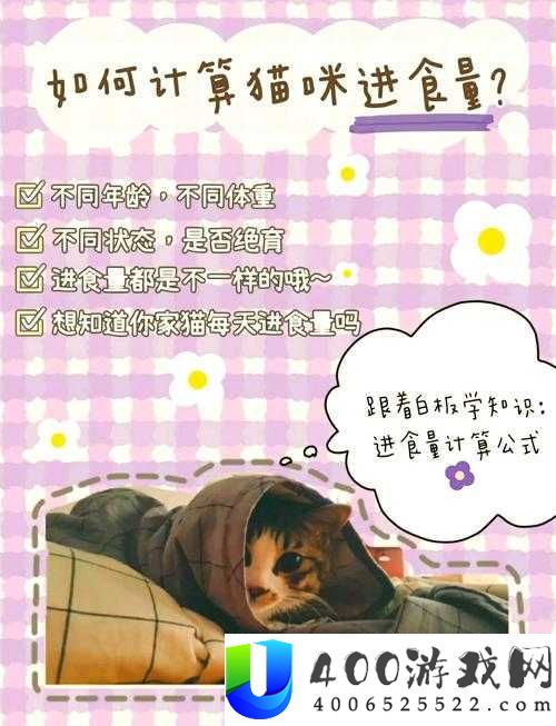 萌宅物语里，如何高效管理资源？猫咪喂食与饲养攻略的重要性揭秘