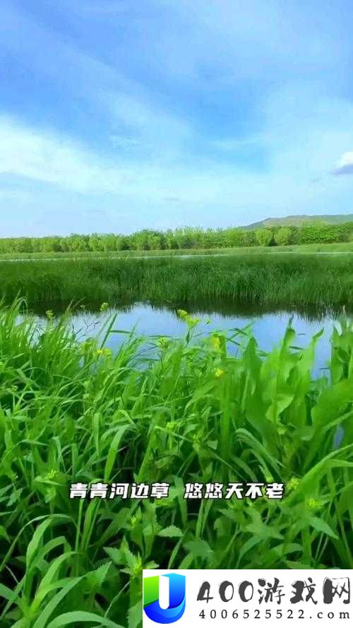 青青河边草手机怎么样？青青河边草手机有哪些独特优势和功能？