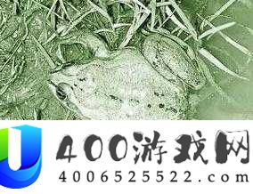 97国产精品免费无码视频蝌蚪网：最新高清资源免费观看，畅享无码视觉盛宴