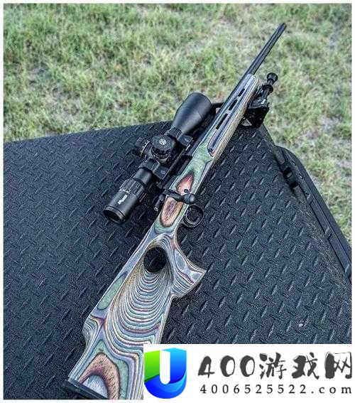 黎明觉醒中稳定枪托如何获取？揭秘枪托的神秘作用与攻略疑问