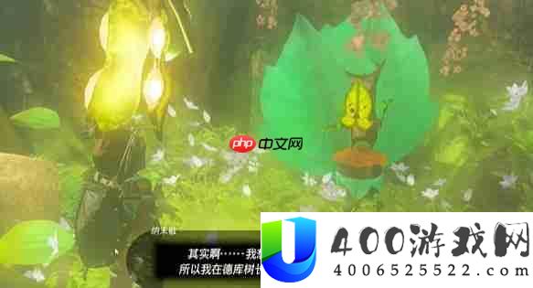 塞尔达传说纳末敏的寻宝游戏任务怎么做-纳末敏的寻宝游戏任务攻略
